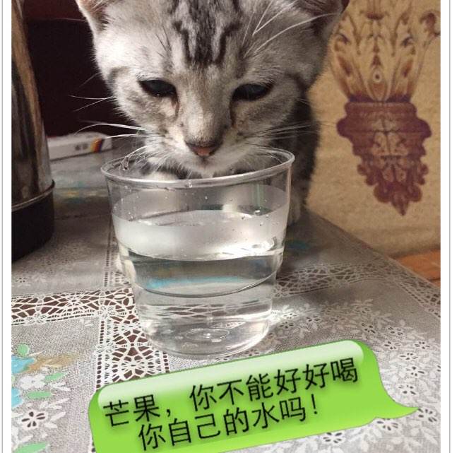达芬奇联邦大学硕士毕业证